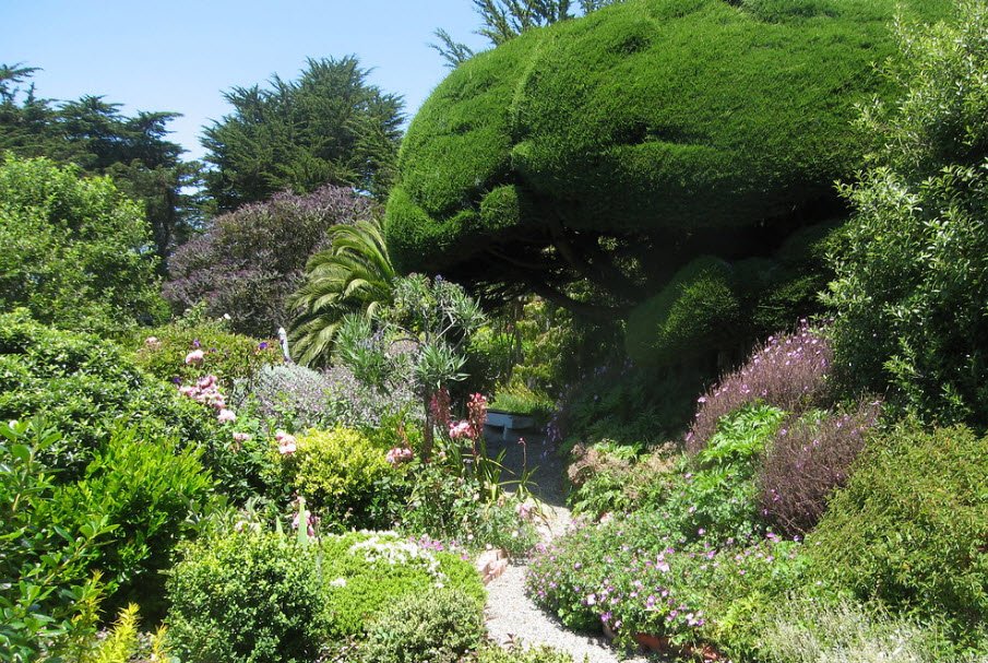 Marin-Bolinas Botanical Gardens, United States